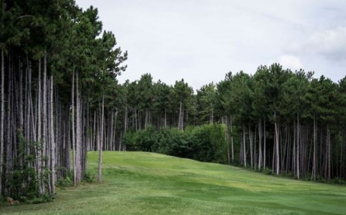 28. Magyar Junior és Nyílt Bajnokság startlista II. nap
