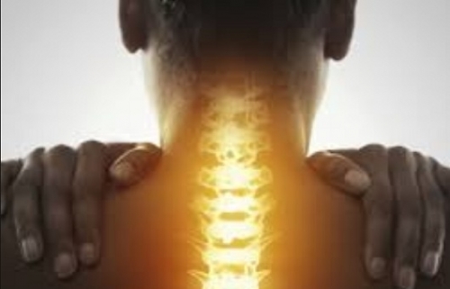 Új remény a gerincsérülteknek