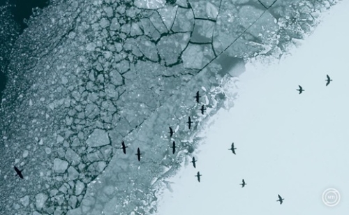 Kemény fagyokkal indul a jövő hét, majd enyhülés jön