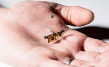 Megépítették a világ legkisebb drónját, rajta miniatűr napelemekkel