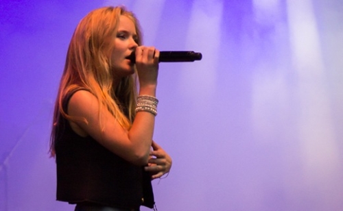 Zara Larsson szerint a Fehér Ház az engedélye nélkül használta egy dalát egy kitoloncolási videóhoz