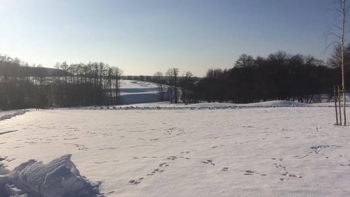 Elhalasztják a csapatdöntőt